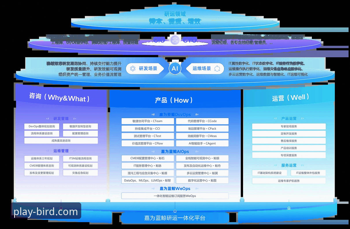 资深用户深度剖析：小鸟体育平台正规性实战经验与创新探索