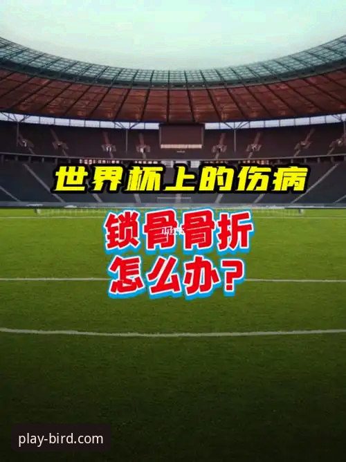世界杯梦想实现操作教程：从伤病到满座现场的完整恢复流程