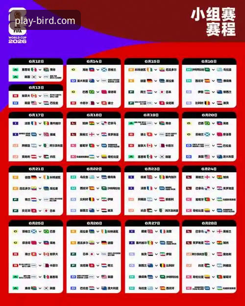 从平台观赛到深度解析：意大利世界杯出局事件的完整指南