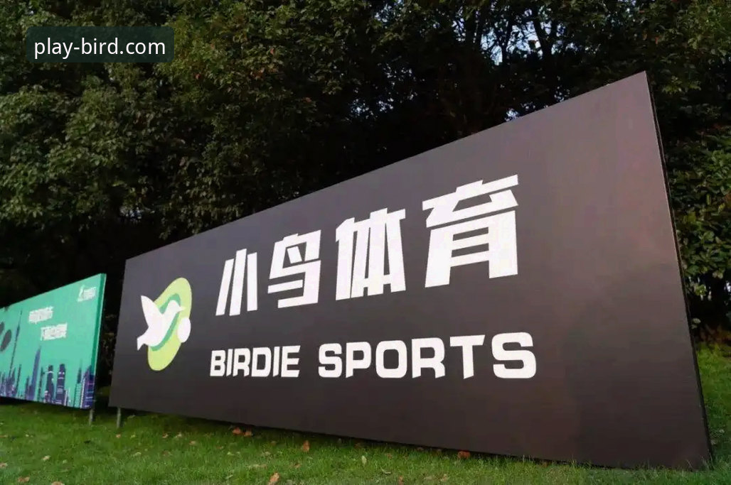 小鸟体育平台专家推荐 vs 普通用户选择：技术视角下的深度解析