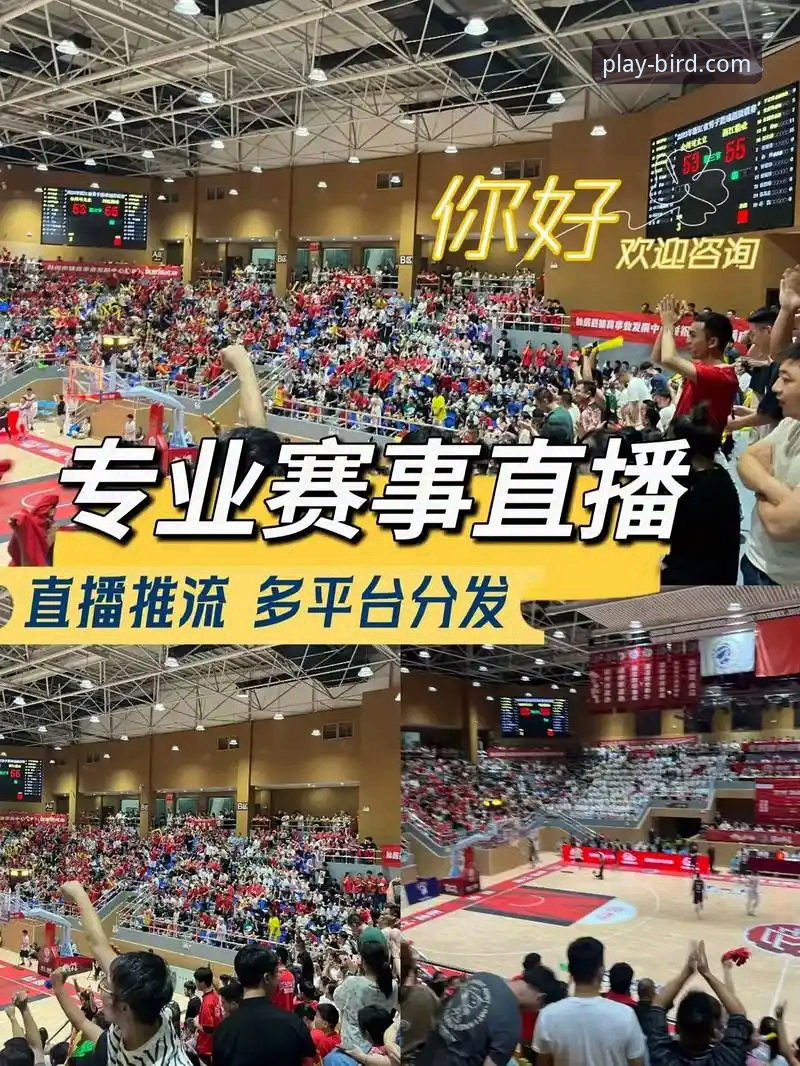 小鸟体育平台深度解析：一个资深用户眼中的全能体育赛事直播平台