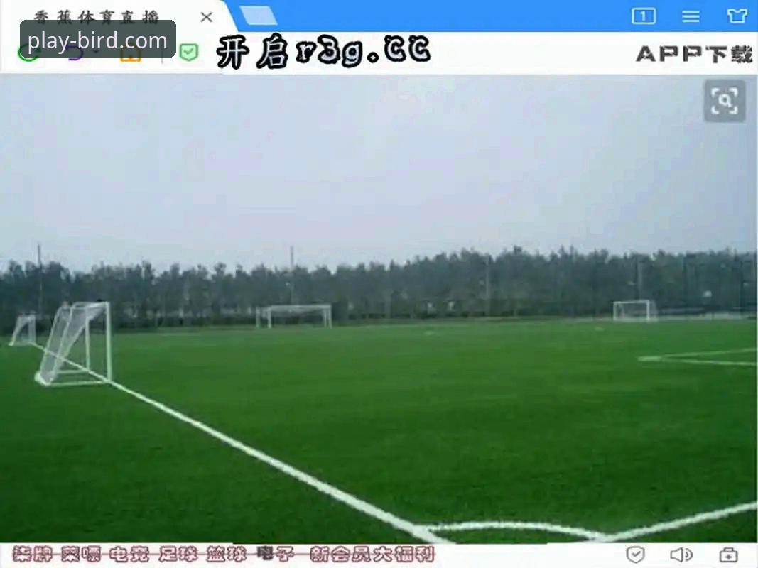 如何一步步完成全球体育赛事直播安装教程？
