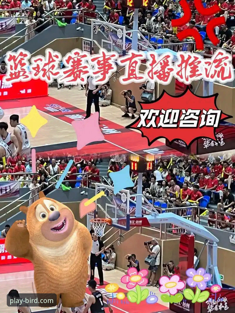 小鸟体育平台深度解析：一个资深用户眼中的全能体育赛事直播平台