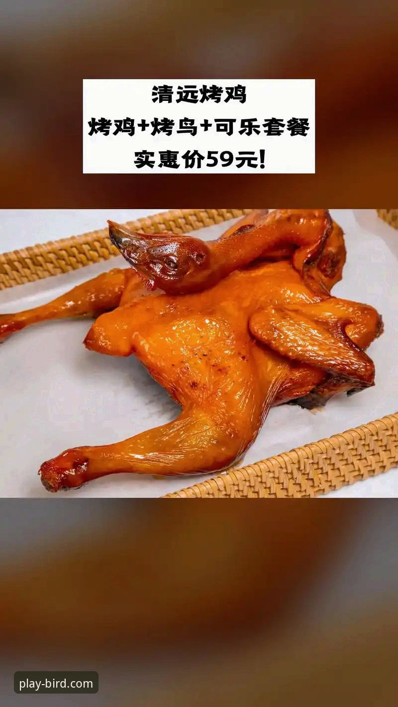 新手必看！小鸟体育直播入口使用指南最新动态详解